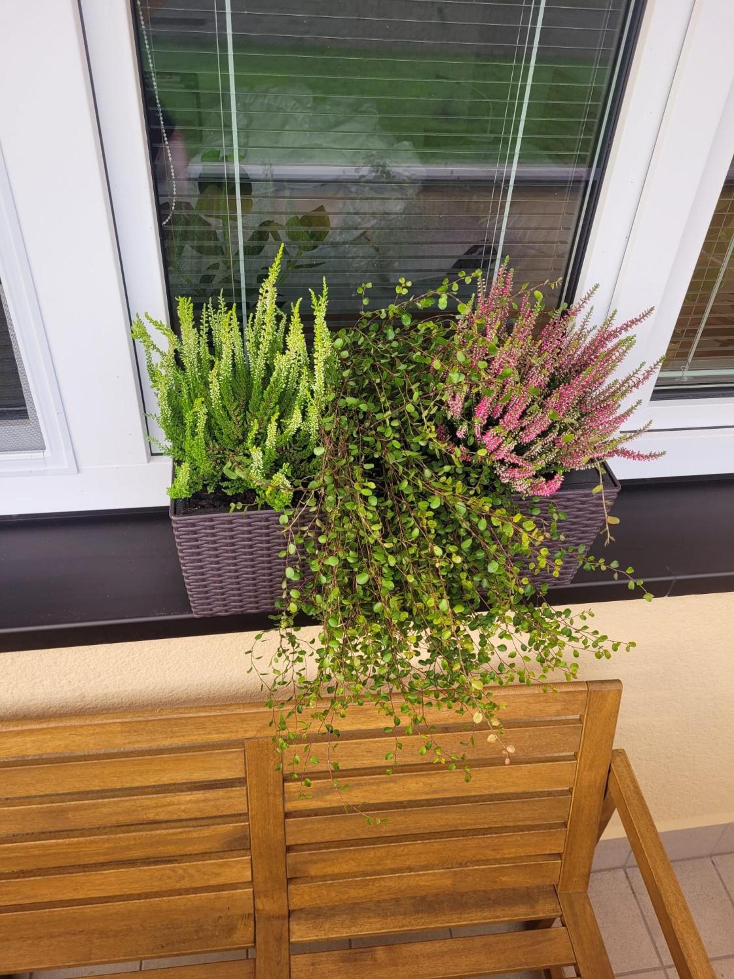 Novy Apartman Eva Jičín エクステリア 写真